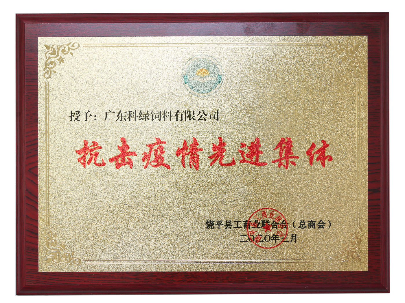 抗擊疫情先進集體